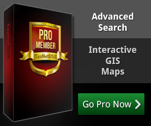 Pro Search Options