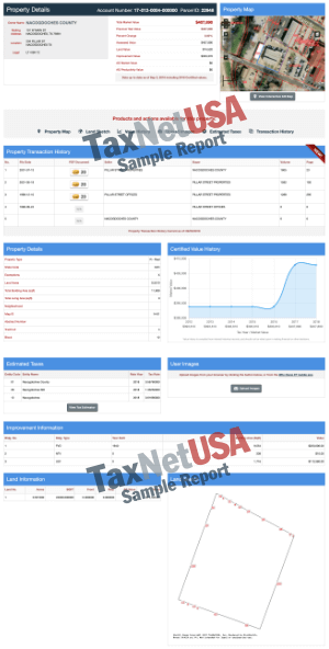 Sample Report