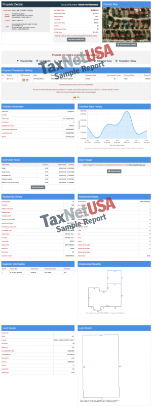 Sample Report