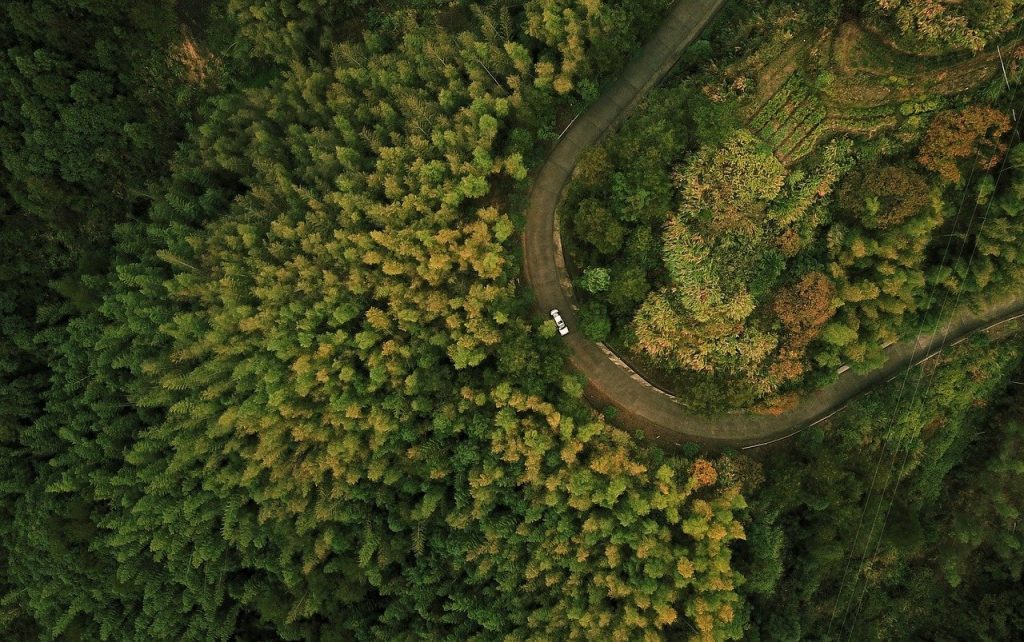 uav, forest, tree